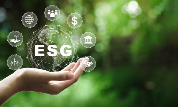 Environment, Social and Governance (ESG) image